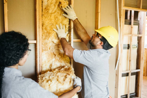 Eco-Friendly or Green Insulation Solutions in Onset, MA